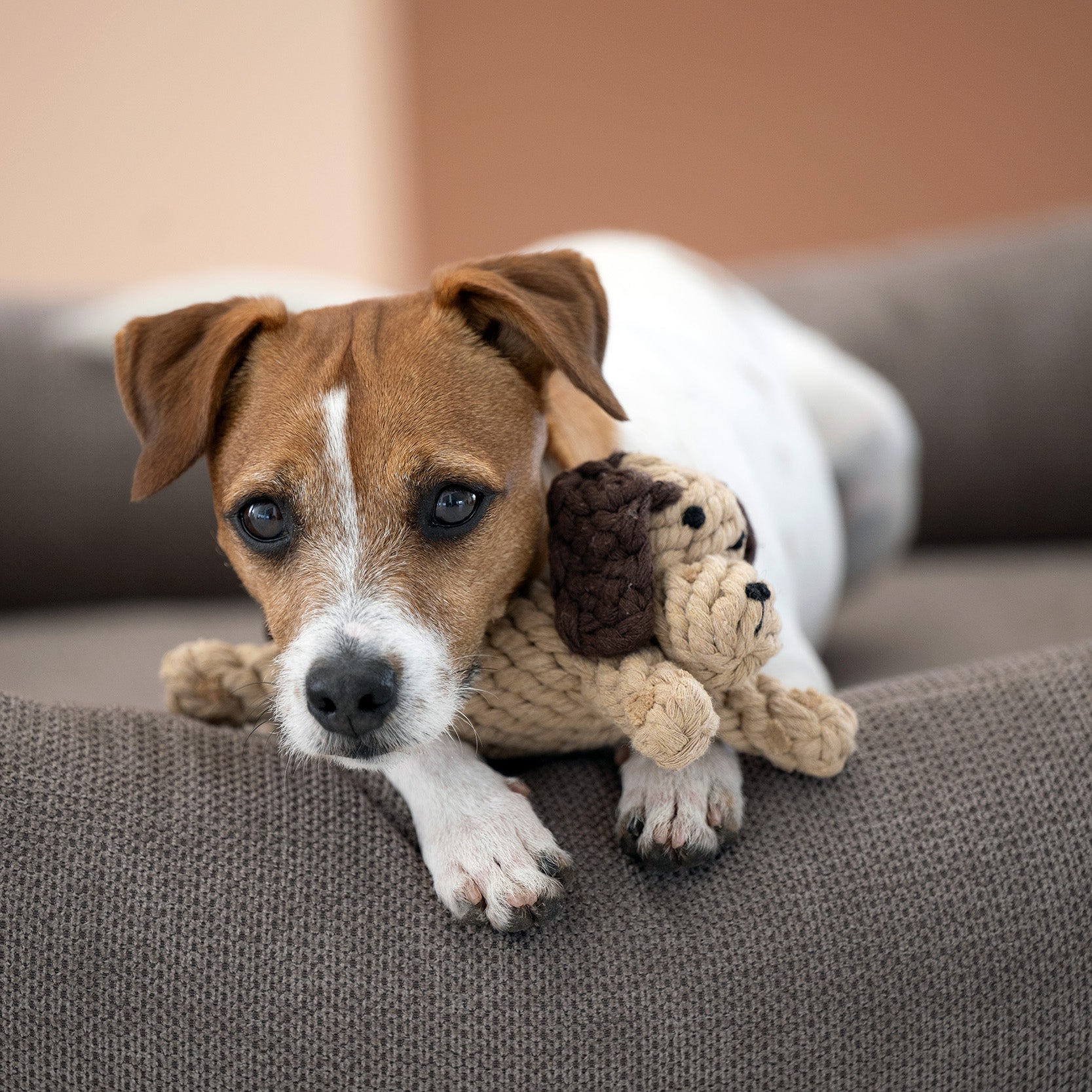 LABONI Doggy Dog — hondenspeeltje van katoenen touw