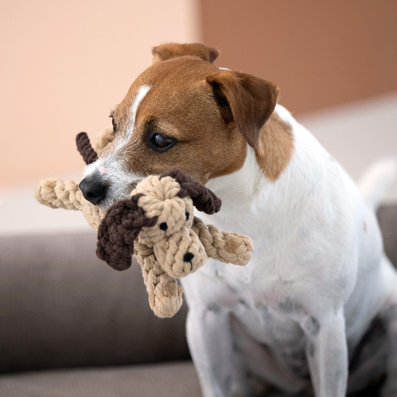 LABONI Doggy Dog — hondenspeeltje van katoenen touw