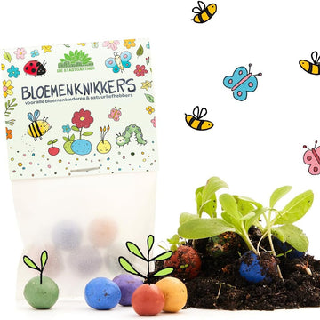 Flower Seed Balls — Bag of 5