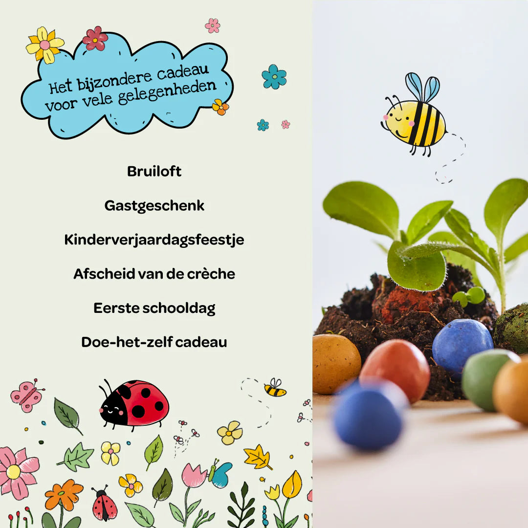 Flower Seed Balls — Bag of 5