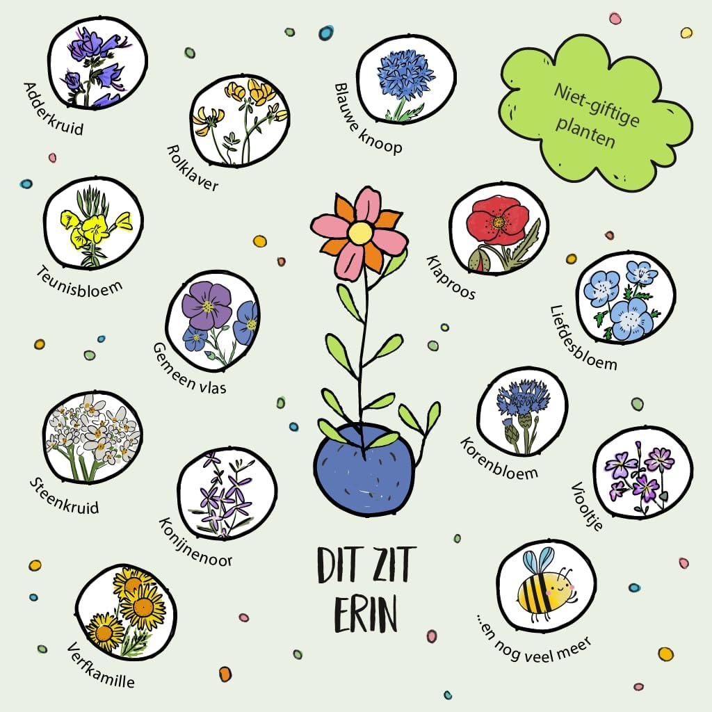 Flower Seed Balls — Bag of 5
