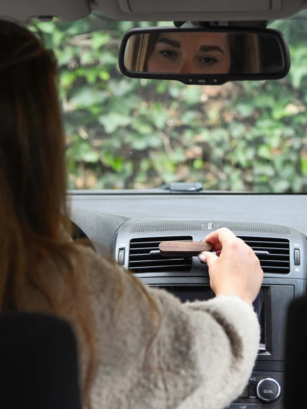 LEEFF Autogeur – Fabulous Fig (You Drive Me Crazy)