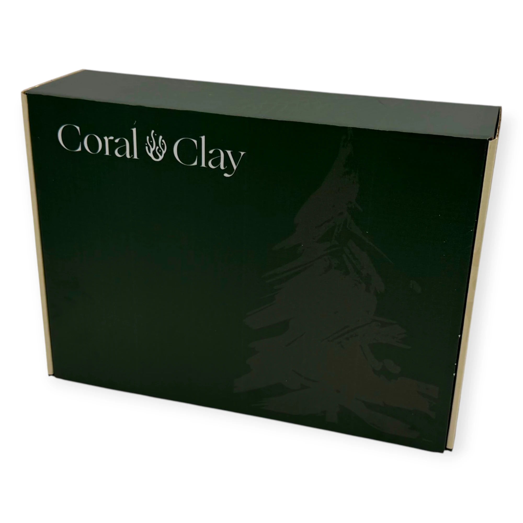 Front view of Coral & Clay deep forest green Christmas letterbox gift box with minimalist Christmas tree illustration and elegant branding.