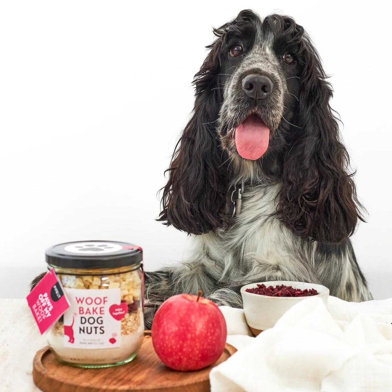 Pineut Dog Treat Mix — Woofbake Dognuts