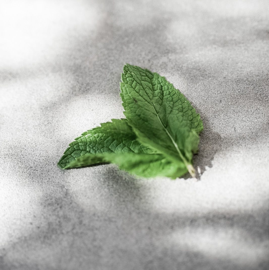 LEEFF Body Scrub – Minty Moments (Enjoy Every Moment)